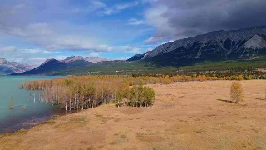 Aerial View Of The Autumn Of Colors Of The Abraham Lake
