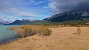 Aerial View Of The Autumn Of Colors Of The Abraham Lake - Powered by Shutterstock - Get 15% off with code: PIKWIZARD15