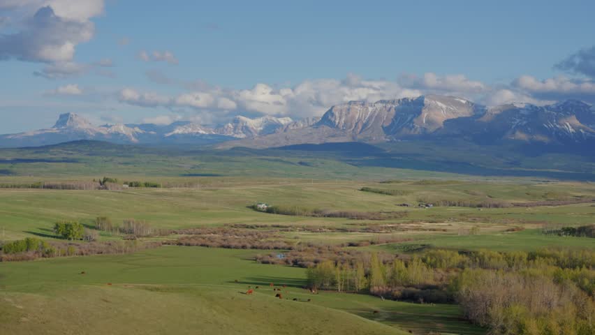 Waterton Lakes National Park landscape showing rolling green fields, mountains, and cattle grazing under a blue sky