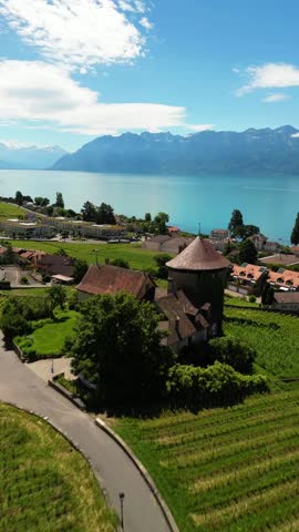 Lavaux Vineyard Terraces overlooking Lake Geneva in Switzerland aerial drone vertical video