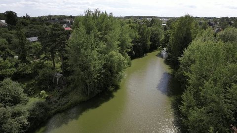 Forward Low Altitude Drone Flight above Forest