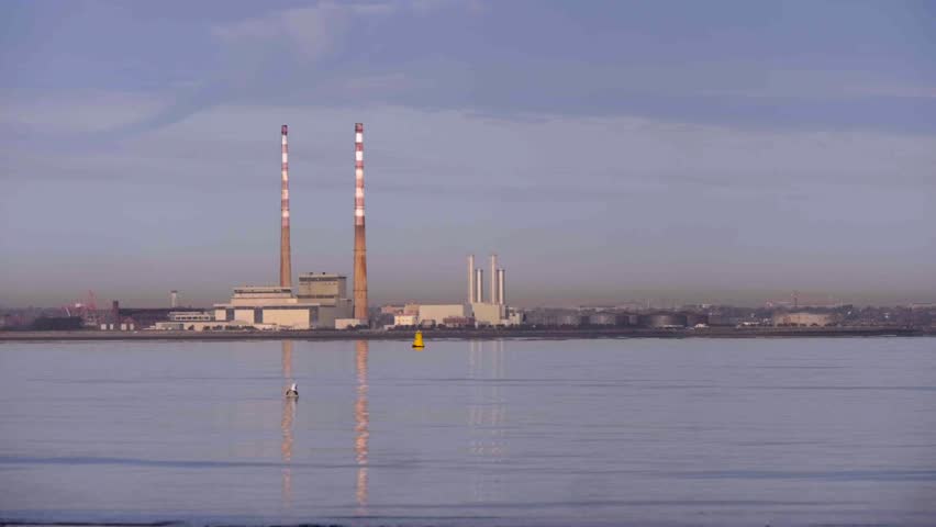 Industrial power plant features towering red and white striped chimneys standing on a misty coastline alongside tranquil bay waters with a swimming seagull under a soft morning sky