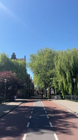 A random street in Amsterdam with trees