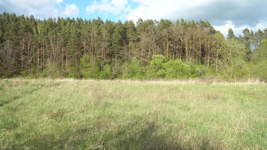 Camera pans across a spring landscape from a grassy meadow toward a dense pine-covered hillside. Sunlight shifts through dramatic clouds, illuminating fresh green foliage and a winding little river.