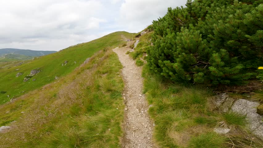 Majestic mountain trail offers breathtaking views and serene exploration