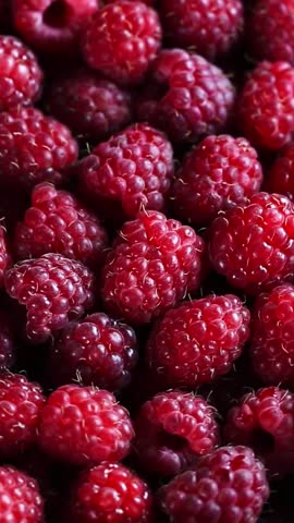 Ripe raspberry. Rotating closeup berries. Vertical footage