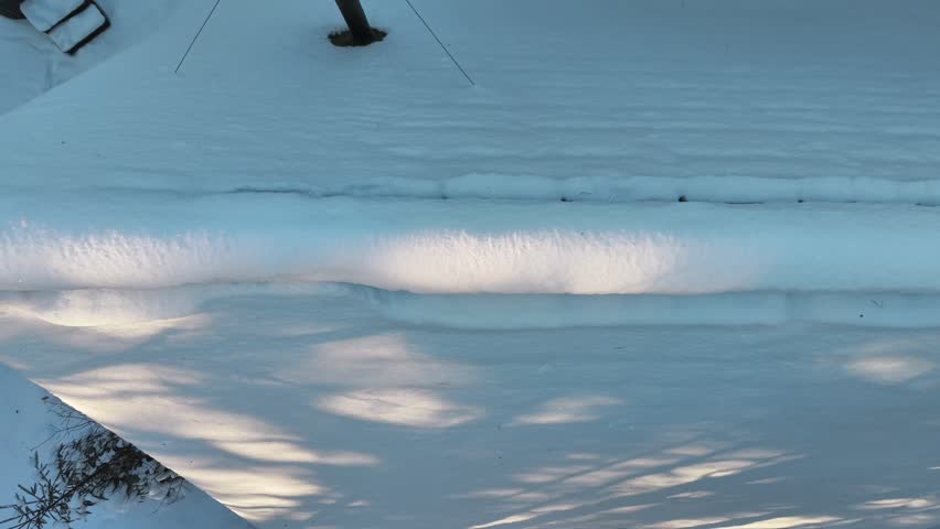 Aerial top view of Varena Treehouse cabin surrounded by snow forest