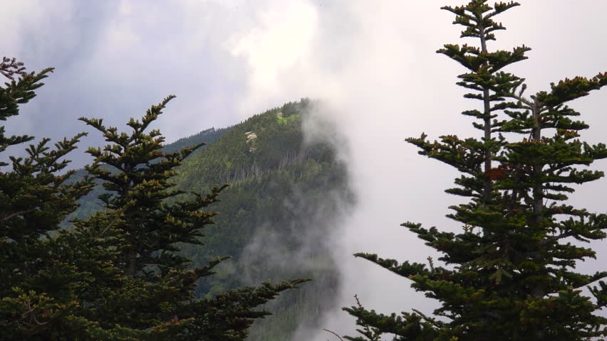 Great Smoky Mountains in summer rainy season. Mountain wooded hills in Tennessee Appalachians, USA.