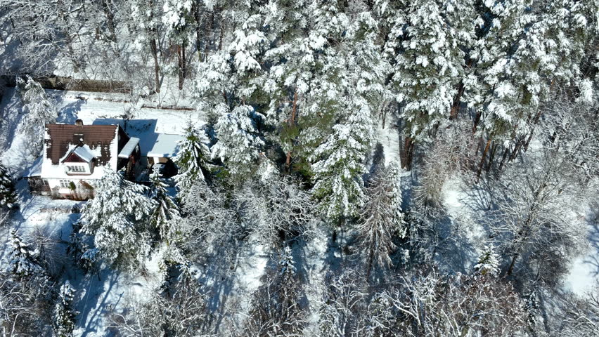 A highangle drone shot capturing a cozy residential house nestled within a dense, snowcovered pine forest in Gdansk during a bright winter day.