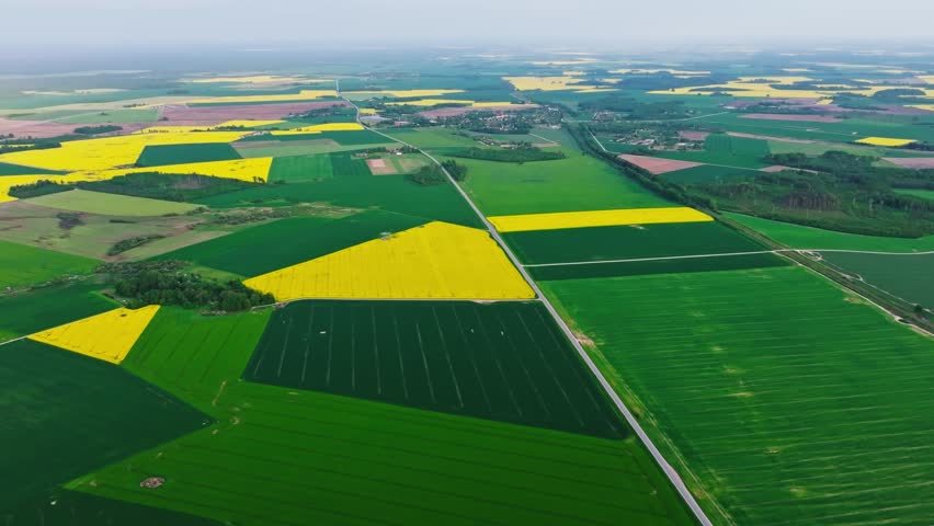 Spring cultivation landscape blending emerald meadows and gold rapeseed blooms