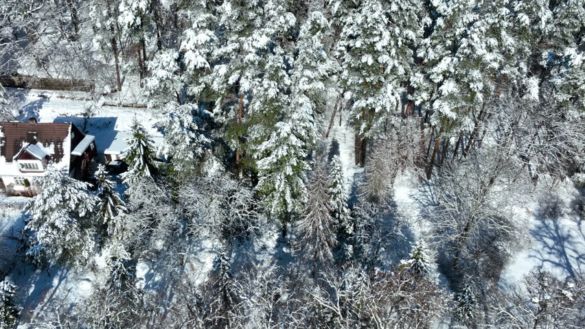 A beautiful aerial shot of a traditional house nestled within a dense pine forest covered in fresh white snow during winter in Gdansk, Poland.