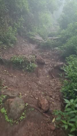 climbing a mountain in foggy weather, hiking