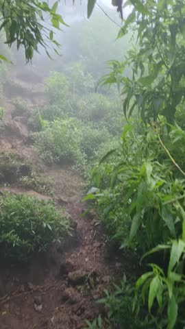 climbing a mountain in foggy weather, hiking