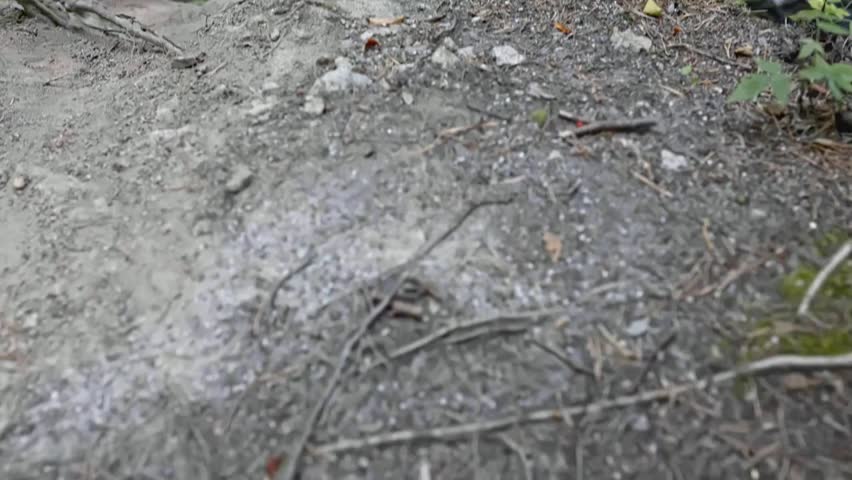 Tragic scene of a young man lying motionless at the base of a forest cliff near water, suggesting a fatal fall in a remote natural setting.