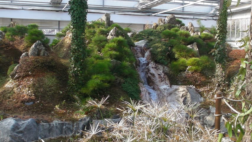 Serene Small Waterfall in Botanical Garden Greenhouse