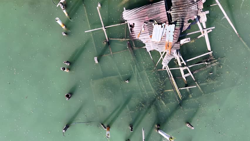 Aerial view aerial drone view of collapsed wooden stilt house and scattered pilings in shallow green water.