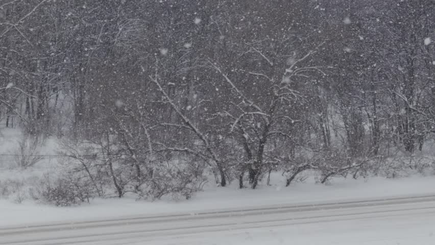 Cars drive on a snow-covered road during a heavy winter snowstorm. The landscape is white with bare trees, and large flakes are falling. Concept of hazardous driving and winter weather.