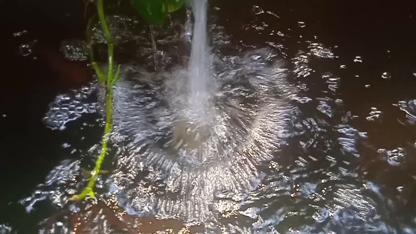 Water splashing into a garden pond fountain creates dynamic ripples and droplets around orange koi fish and a trailing green plant, conveying motion, refreshment and tranquil outdoor atmosphere.