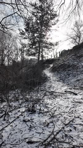 Serene winter scene of a frozen lake with thin ice layers, bubbles beneath, dry reeds emerging, snow patches on edges, and subtle melting areas. Tranquil icy wetland landscape.