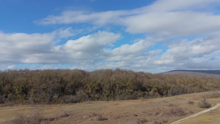 Autumn forest landscape stretching toward distant hills under bright cloudy sky.
