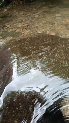 Small cascade of freshwater flowing between smooth rocks in a natural forest stream environment.