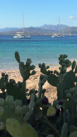 Beach with Yachts and Mountain Coastline in Sardinia, Italy