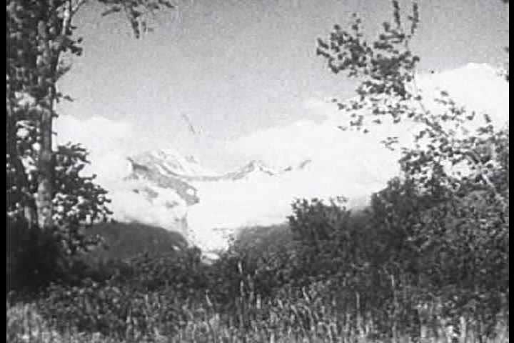 1930s - Glaciers carve into a bay in Alaska in 1936.