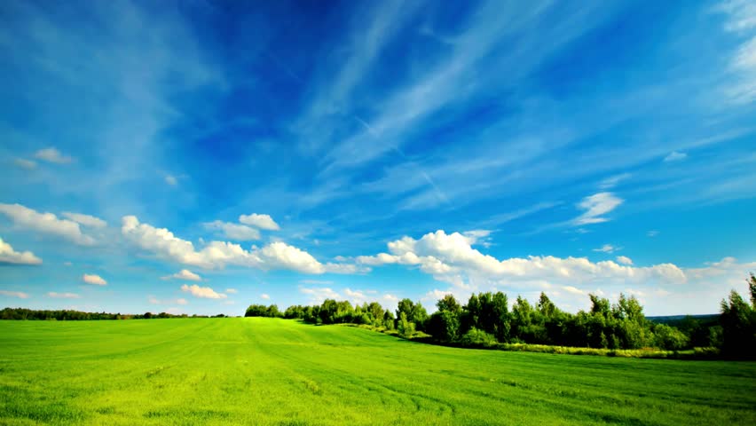 Vast green meadow under bright blue cloudy sky