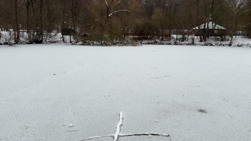 Frozen lake in winter: A solid sheet of ice covers the water surface in the park.