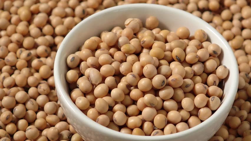 Dried soybeans in a bowl