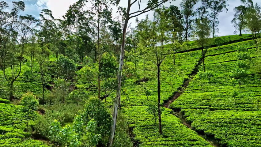 Ella to Kandy train passing through lush green highlands in Sri Lanka