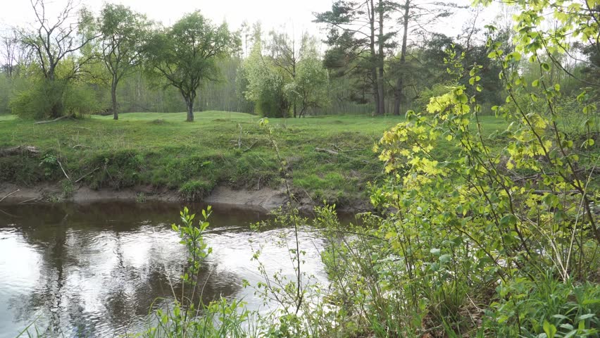 View across a calm river to the opposite bank. The far side has a steep sandy riverbank, green meadow, and scattered trees under a bright sky. Lush bushes frame the foreground.