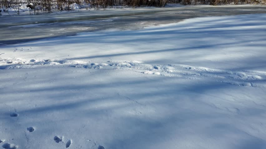 Fresh snow captures a trail of human boot footprints and smaller animal tracks (possibly fox, cat or small canine) in a serene winter landscape. Crisp details, cold blue tones, perfect for winter, nature, exploration themes.
