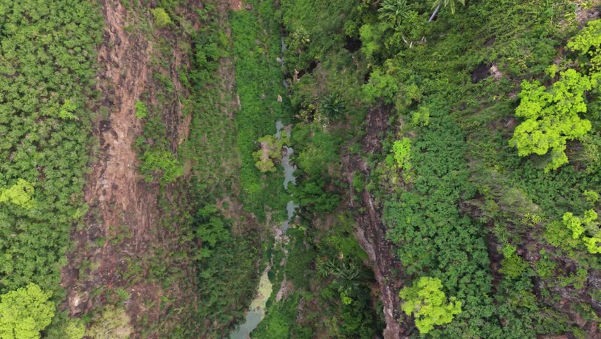 Top-down drone flight along Ravine Bernica river gorge with small birds passing below, Saint-Paul, Reunion Island