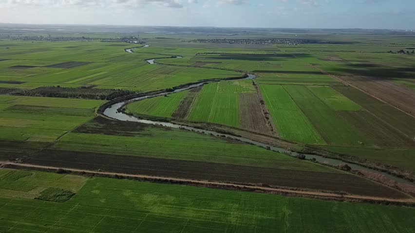 Captivating drone shot showcasing the natural curves of a waterway cutting through Moroccan farmlands. Features the expansive green landscape and the distant skyline of Larache city.