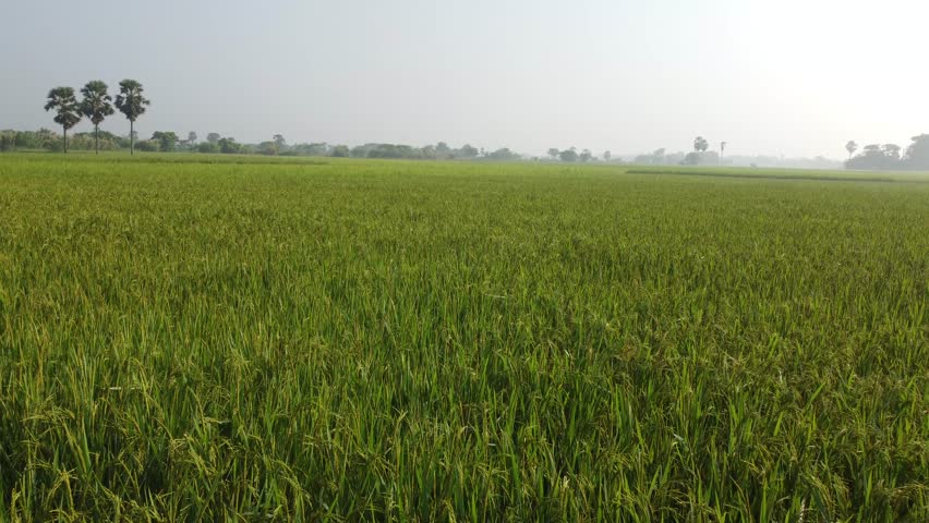 Drone footage of the village