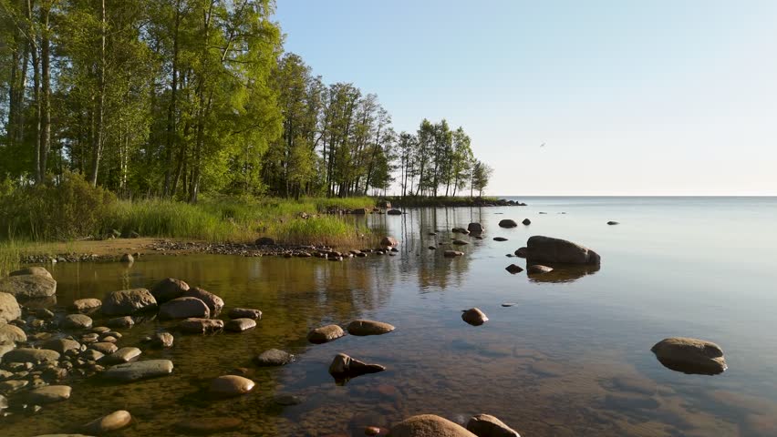 Näs Sannar Strand, Lake Vänern, Sweden — low aerial forward flight, rocky shoreline, crystal clear shallow water, birch forest, vast calm lake stretching to horizon at summer evening