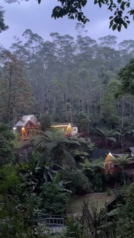 Cozy illuminated cabins nestled in a lush misty forest at twilight, offering a serene natural escape and tranquil ambiance.