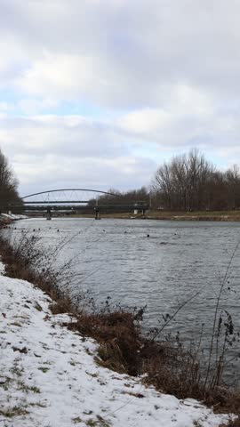Vertical screen open water competitors spread across icy river near steel bridge powering forward through winter current as snow covers the banks of the urban course