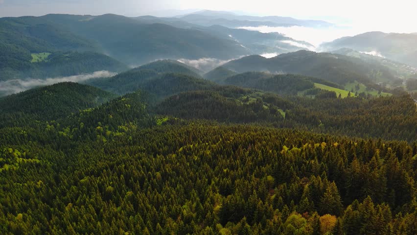 Cloudy weather over hills covered with spruce forests in Rhodope Mountains and fog between mountain ranges