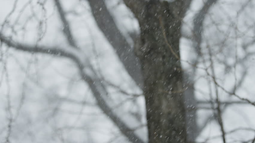Snow blowing in slow motion among trees
