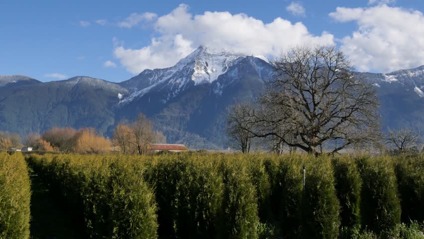 Mount Cheam during a winter season in Agassiz, Fraser Valley, British Columbia, Canada