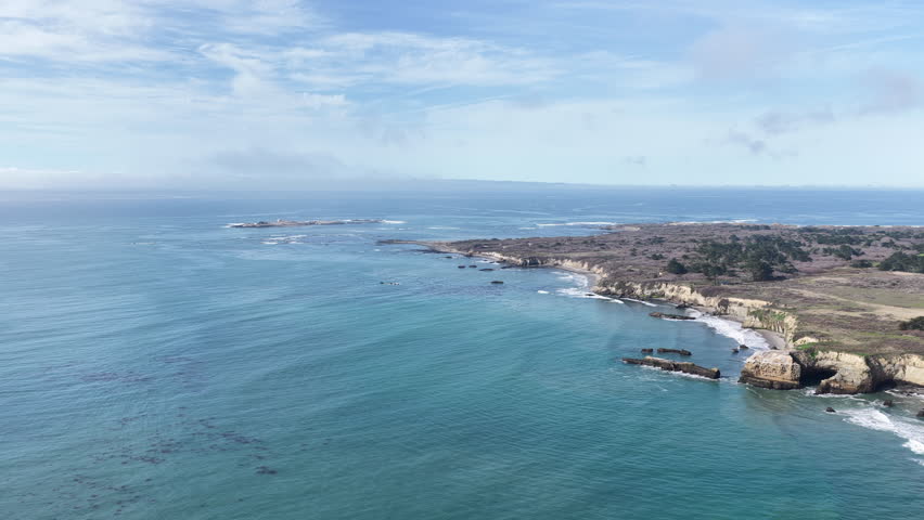 Elephant seals migrating and resting on Ano Nuevo Beach in California aerial