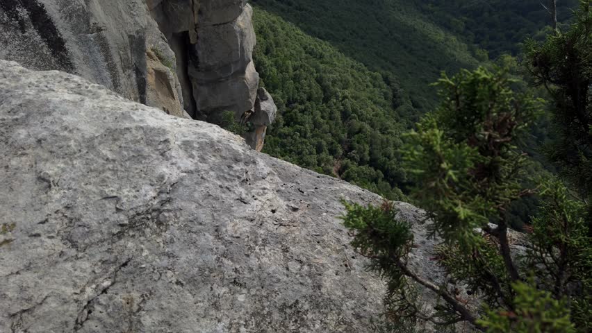Stunning aerial perspective of a sheer rock cliff dropping into a deep, verdant valley covered with a dense forest. Sunlight and shadows play across the landscape, creating a dramatic effect