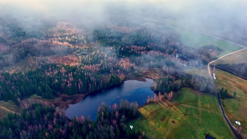 Aerial: lake next to a forest with trees, clouds and beautiful sunlight during the day, establishing drone shot