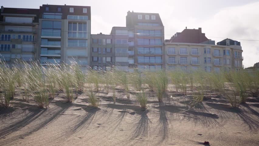 Walking past sand dune with grass and beach front houses in Knokke Belgium