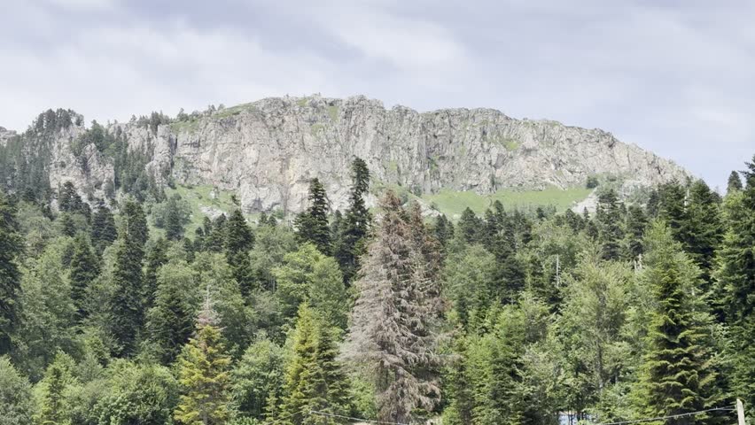 
Majestic Mountains Dominate Verdant Valleys Below
Rugged Cliffs Tower Over Lush Forest Landscape