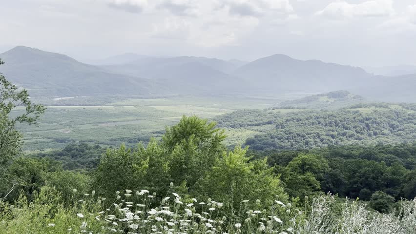 Majestic Mountains Reveal Verdant Valley Below. The wind is stirring the grass
Picturesque Landscape Displays Rolling Green Hills