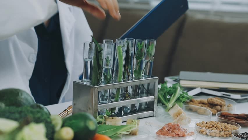 Close up on lab technician hands holding test tube with green plant stem. Researcher studies food science at table with vegetables, fruits, and notebooks.