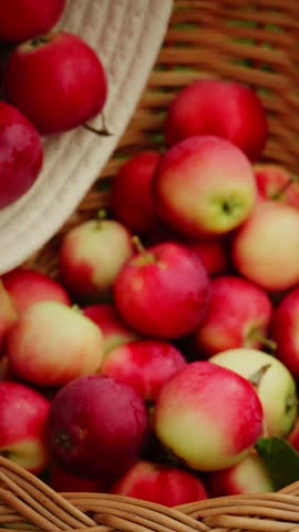 Freshly harvested apples arranged beautifully in a woven basket, showcasing vibrant colors and natural textures, ideal for autumn recipes and healthy snacks.